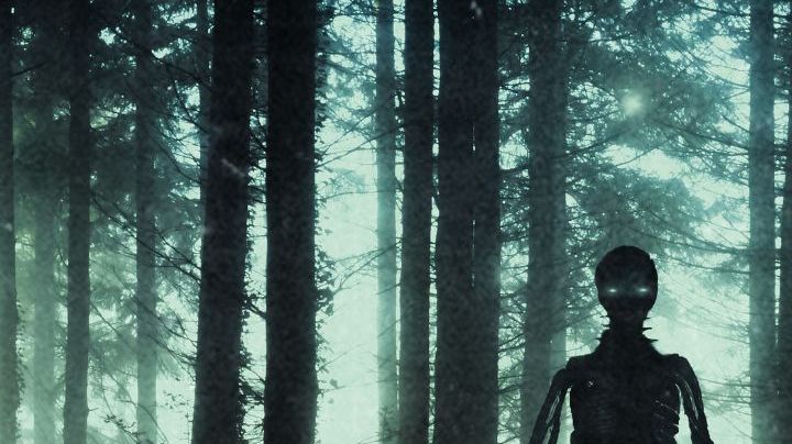 Horror, sci fi concept of aliens standing in a forest. Silhouetted by bright UFO lights at night