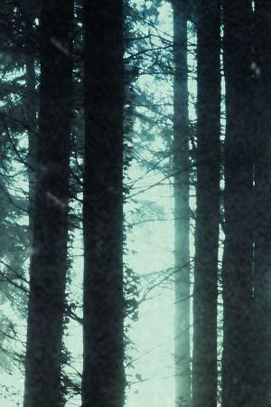 Horror, sci fi concept of aliens standing in a forest. Silhouetted by bright UFO lights at night