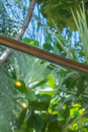 Photo by April Nicole for Remezcla