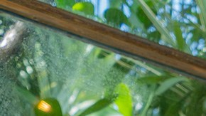 Photo by April Nicole for Remezcla