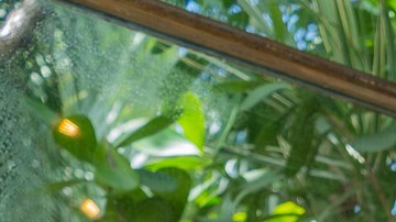 Photo by April Nicole for Remezcla