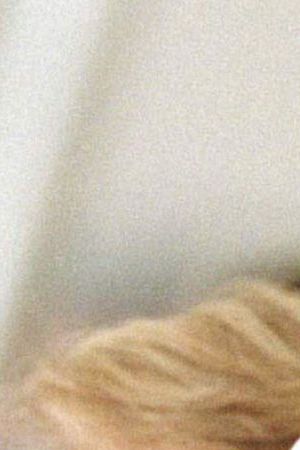 SANTIAGO, CHILE: General Augusto Pinochet salutes during a military parade in honor of his retirement as commander of the Chilean Army 06 March in Santiago. Pinochet was awarded the title of Meritorious Commander of the Army for Life. AFP PHOTO CRIS BOURONCLE (Photo credit should read CRIS BOURONCLE/AFP via Getty Images)