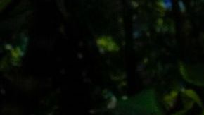 WEST HOLLYWOOD, CALIFORNIA - JUNE 28: Becky G attends Gonza Proudly Celebrates the Announcement of Becky G as the Creative Director of Gonza at The West Hollywood EDITION on June 28, 2023 in West Hollywood, California. (Photo by Presley Ann/Getty Images for Gonza)