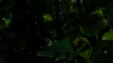 WEST HOLLYWOOD, CALIFORNIA - JUNE 28: Becky G attends Gonza Proudly Celebrates the Announcement of Becky G as the Creative Director of Gonza at The West Hollywood EDITION on June 28, 2023 in West Hollywood, California. (Photo by Presley Ann/Getty Images for Gonza)