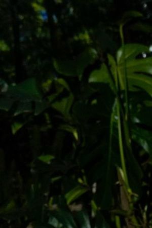 WEST HOLLYWOOD, CALIFORNIA - JUNE 28: Becky G attends Gonza Proudly Celebrates the Announcement of Becky G as the Creative Director of Gonza at The West Hollywood EDITION on June 28, 2023 in West Hollywood, California. (Photo by Presley Ann/Getty Images for Gonza)