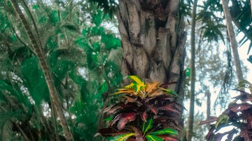 Manuel Turizo_Grupo Frontera_Mystery