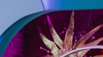 Drag Race México episode 9