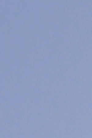 Credit: Alfredo Persan.