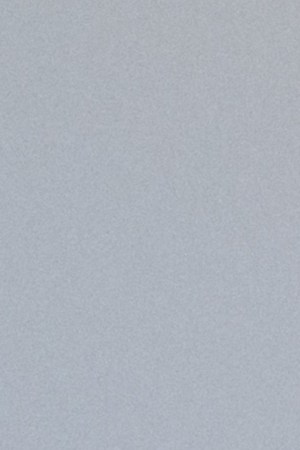 Photography by Tess Pereyo for Remezcla.