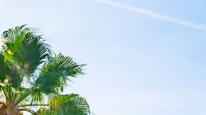 HOLLYWOOD, CA - OCTOBER 21: General view of the In-N-Out Burger on Sunset Blvd on October 21, 2021 in Hollywood, California. (Photo by AaronP/Bauer-Griffin/GC Images)