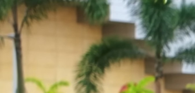 Xolo Maridueña as Blue Beetle