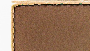 Photography by Tess Pereyo for Remezcla.