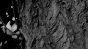 ITALY - CIRCA 1954: Mexican actress María Félix during festival of Venice, 1954. LIP-062-063-084. (Photo by Roger Viollet via Getty Images/Roger Viollet via Getty Images)