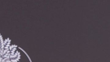 MARBELLA, SPAIN - JULY 24: Miguel Bose attends the Global Gift Gala Red Carpet at Hotel Don Pepe on July 24, 2023 in Marbella, Spain. (Photo by Daniel Perez/Getty Images)