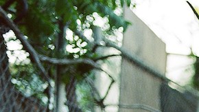 Pachyman _'Trago Coqueto'