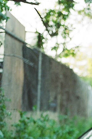 Pachyman _'Trago Coqueto'