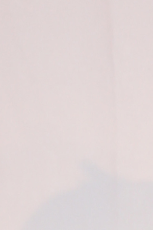 NEW YORK, NEW YORK - APRIL 03: Rachel Zegler attends Miscast23 at Hammerstein Ballroom on April 03, 2023 in New York City. (Photo by Rob Kim/Getty Images)