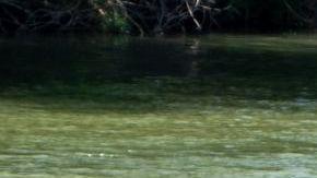 River barrier placed on the water along the Rio Grande border with Mexico in Eagle Pass, Texas, on July 15, 2023, to prevent migrants from entering the US. The buoy installation is part of an operation Texas is pursuing to secure its borders, but activists and some legislators say Governor Greg Abbott is exceeding his authority. (Photo by SUZANNE CORDEIRO / AFP) (Photo by SUZANNE CORDEIRO/AFP via Getty Images)