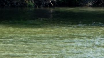 River barrier placed on the water along the Rio Grande border with Mexico in Eagle Pass, Texas, on July 15, 2023, to prevent migrants from entering the US. The buoy installation is part of an operation Texas is pursuing to secure its borders, but activists and some legislators say Governor Greg Abbott is exceeding his authority. (Photo by SUZANNE CORDEIRO / AFP) (Photo by SUZANNE CORDEIRO/AFP via Getty Images)