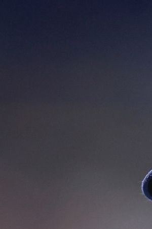 ST PETERSBURG, FLORIDA - AUGUST 12: Wander Franco #5 of the Tampa Bay Rays looks on during the fifth inning against the Cleveland Guardians at Tropicana Field on August 12, 2023 in St Petersburg, Florida. (Photo by Douglas P. DeFelice/Getty Images)