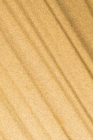 Feid_"Vente Conmigo"