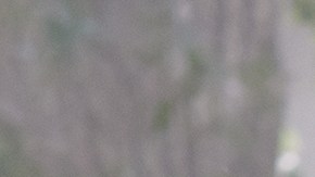 CARLA MORRISON_English