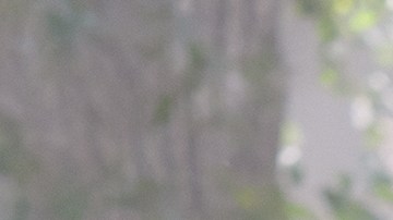 CARLA MORRISON_English