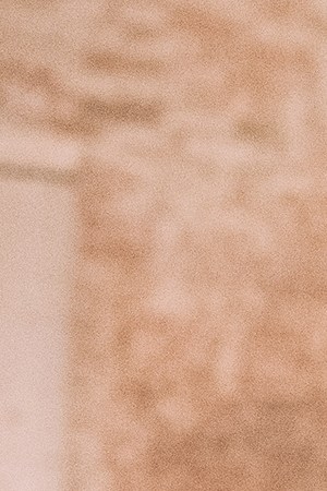 Peso Pluma_Jhayco_'Ex-Special'