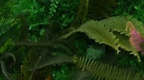 Yahritza y Su Esencia