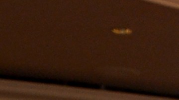 Yahritza y Su Esencia_música