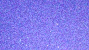 header-couples-split-astrology