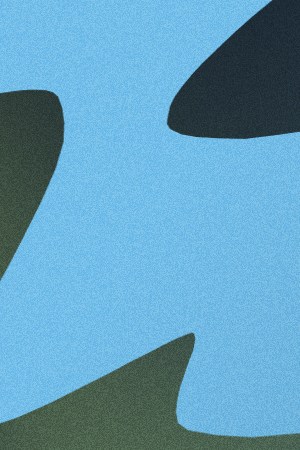 Carlos Rivera & Cynthia Rodriguez