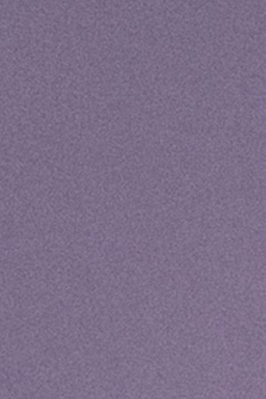 "Muñekita"_kali uchis_el alfa_JT City Girls