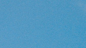 Photo by Thalia Gochez.