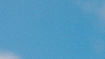 Photo by Thalia Gochez.