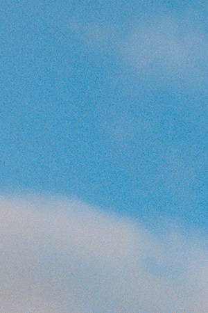 Photo by Thalia Gochez.