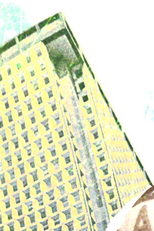 Podcast_Can You Dig It?