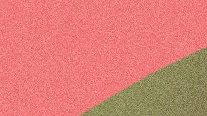 'Malabar'_seba otero-irepelusa