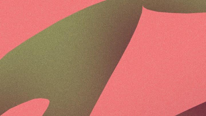 'Malabar'_seba otero-irepelusa