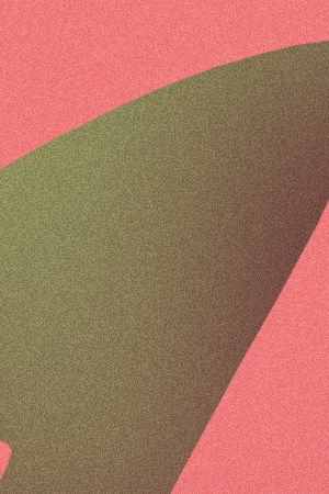 'Malabar'_seba otero-irepelusa