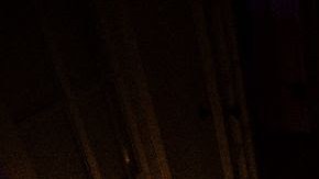 Photo Credit: Nate Guenther.