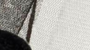 Build-A-Bear Día de Muertos