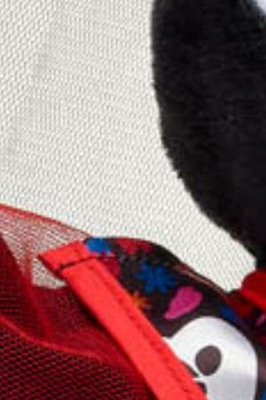 Build-A-Bear Día de Muertos