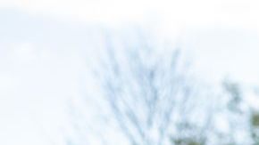 WASHINGTON, DC, UNITED STATES- NOVEMBER 17: Pro- DACA protestors hold a march outside of the U.S. Capitol Building calling for a pathway to citizenship on November 17th, 2022 in Washington, DC. (Photo by Nathan Posner/Anadolu Agency via Getty Images)