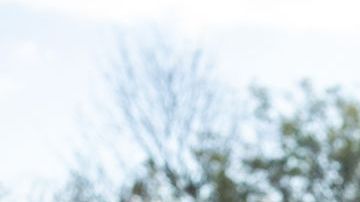 WASHINGTON, DC, UNITED STATES- NOVEMBER 17: Pro- DACA protestors hold a march outside of the U.S. Capitol Building calling for a pathway to citizenship on November 17th, 2022 in Washington, DC. (Photo by Nathan Posner/Anadolu Agency via Getty Images)