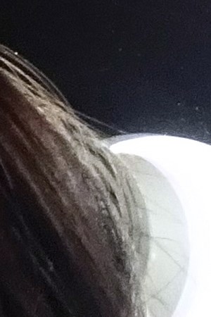 Photographer: Rafael Arroyo
MUA: Emilio Becerril