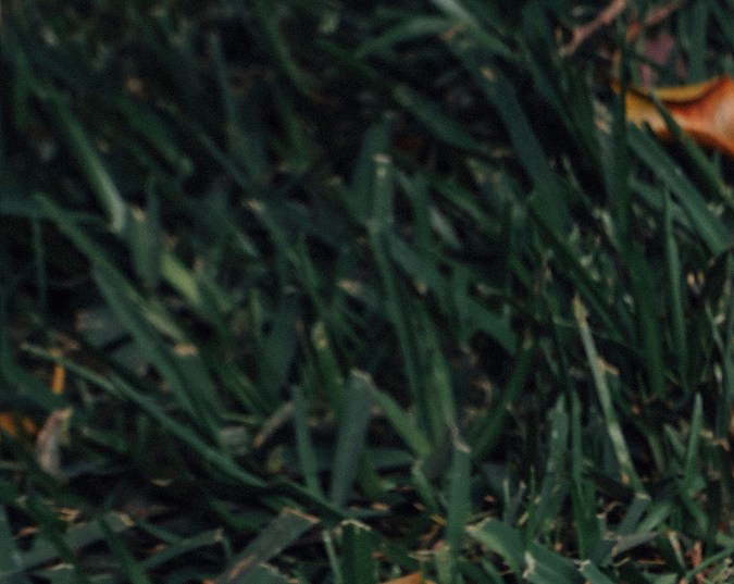 Converse Mi Gente 2023 Collection