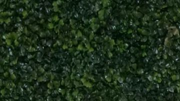 NEW YORK, NEW YORK - SEPTEMBER 06: Gabriela Hearst attends The Museum at FIT's 2023 Couture Council Luncheon: Honoring Gabriela Hearst on September 06, 2023 in New York City. (Photo by Bennett Raglin/Getty Images for FIT)