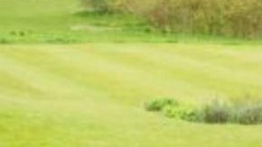 Matt Lucas, Prue Leith, Paul Hollywood, and Noel Fielding from The Great British Bake Off