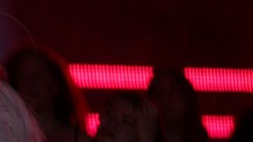 NEWARK, NEW JERSEY - SEPTEMBER 12: Ice Spice attends the 2023 MTV Video Music Awards at Prudential Center on September 12, 2023 in Newark, New Jersey. (Photo by Kevin Mazur/Getty Images for MTV)